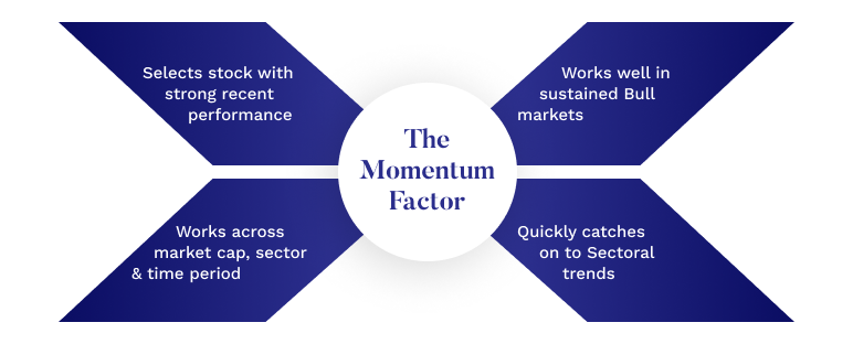 The Momentum Factor