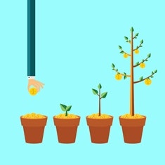 Industry allocations and portfolio holdings