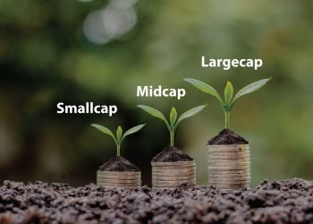 Large-cap Stocks, Small-cap Stocks, Mid-cap Stocks — What is the difference?