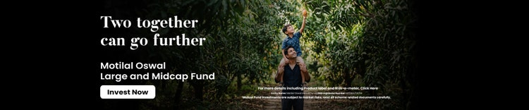 Large and Midcap Banner Image