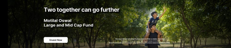 Large and Midcap Banner Image