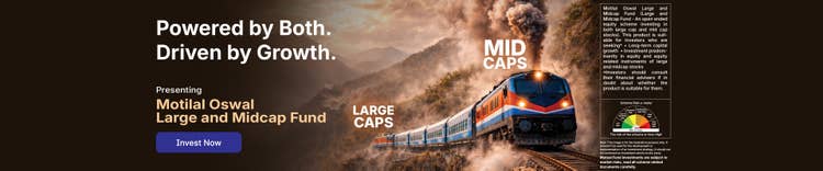 Large and Midcap Banner Image