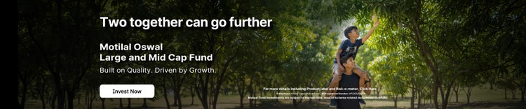 Large and Midcap Banner Image