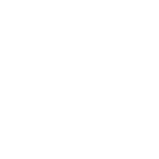 Exposure to renowned Global Brands
